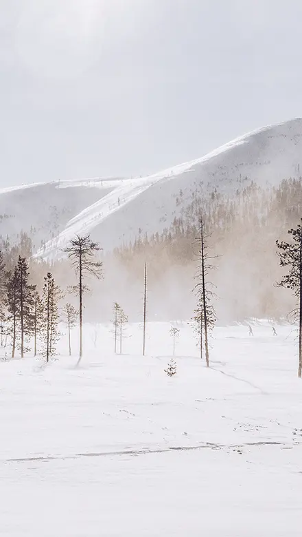 Finnland