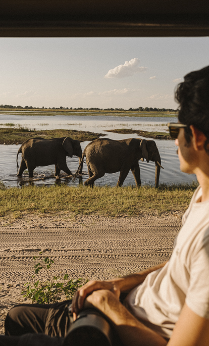 Safari