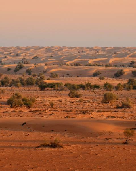 Rundreisen Sharjah - Dubai - Zighy Bay