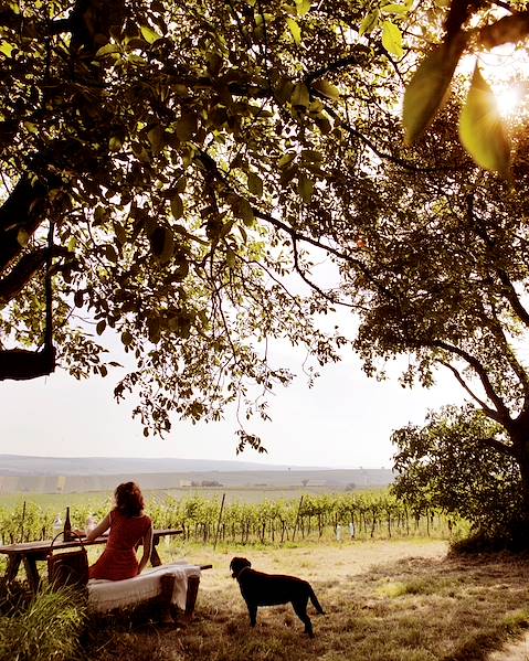 Rundreisen Frankreich - Burgund - Champagne