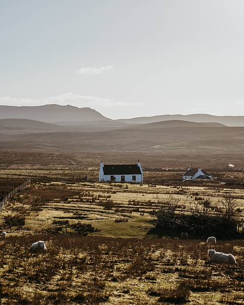 Rundreisen Großbritannien - Schottland - Loch Lomond und Trossachs Nationalpark - Spean Bridge - Edinburgh