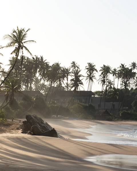 Rundreisen Sri Lanka - Hatton - Galle - Tangalle