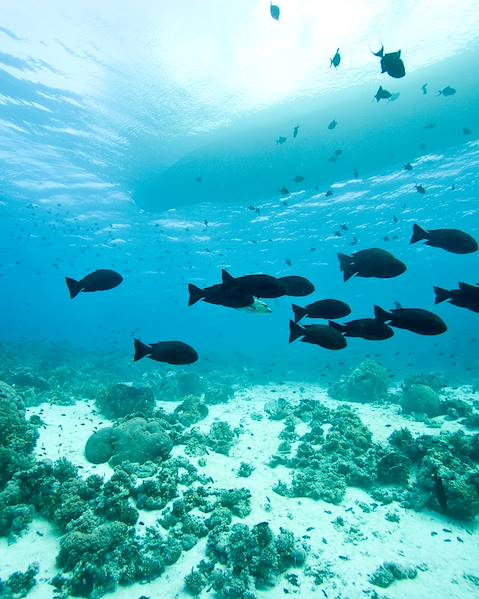 Rundreisen Mauritius - Trou aux Biches - Rodrigues