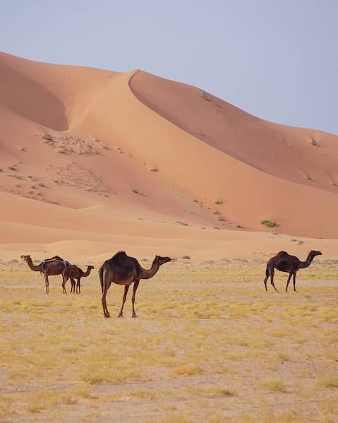 Rundreisen Oman - Maskat - Wahiba-Wüste