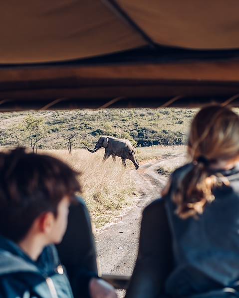 Rundreisen Südafrika - Kapstadt - Stellenbosch - Gordon's Bay - Kruger Park - Johannesburg